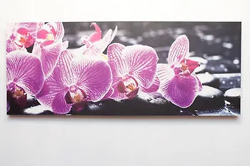 Re Di Luna Frühstückspension Rom